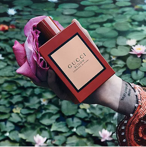 Gucci Bloom Ambrosia di Fiori 3.4oz